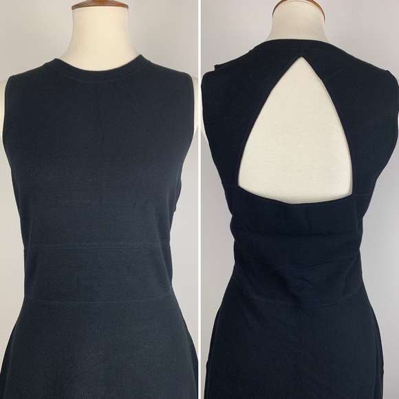 THEORY Maysen Prosecco Dress L - Picture 4 of 8